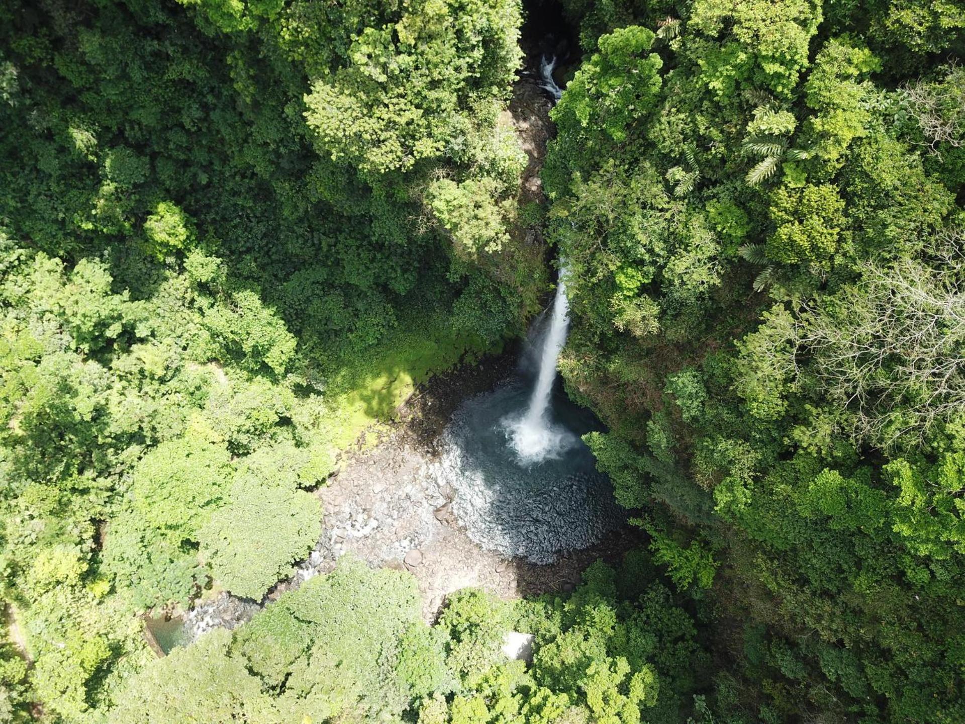 La Fortuna Lodge By Treebu Hotels Exterior photo